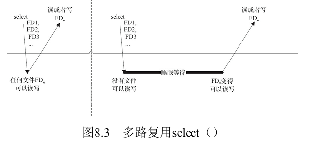 image-20250322194935686